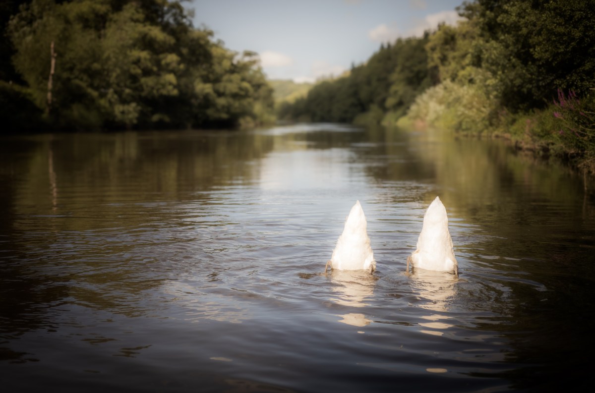 How the national economy impacts local&nbsp;services